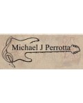 Michael J Perrotta